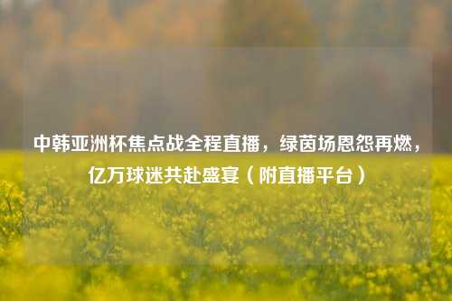中韩亚洲杯焦点战全程直播,绿茵场恩怨再燃,亿万球迷共赴盛宴(附直播平台)