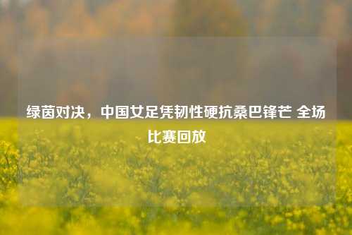 绿茵对决，中国女足凭韧性硬抗桑巴锋芒 全场比赛回放