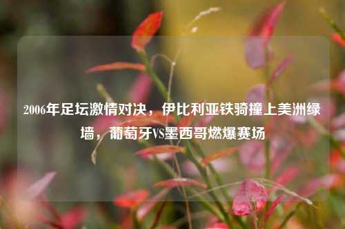 2006年足坛激情对决，伊比利亚铁骑撞上美洲绿墙，葡萄牙VS墨西哥燃爆赛场