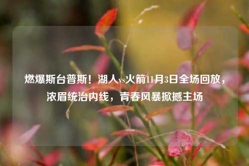 燃爆斯台普斯！湖人vs火箭11月3日全场回放，浓眉统治内线，青春风暴掀撼主场