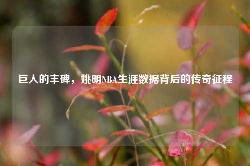 巨人的丰碑，姚明NBA生涯数据背后的传奇征程