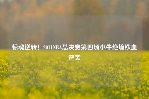 惊魂逆转！2011NBA总决赛第四场小牛绝境铁血逆袭