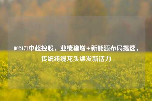 002471中超控股，业绩稳增+新能源布局提速，传统线缆龙头焕发新活力