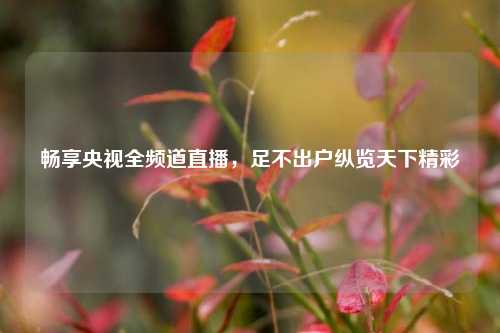 畅享央视全频道直播，足不出户纵览天下精彩
