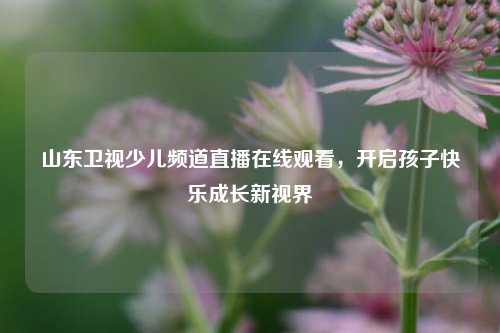 山东卫视少儿频道直播在线观看，开启孩子快乐成长新视界