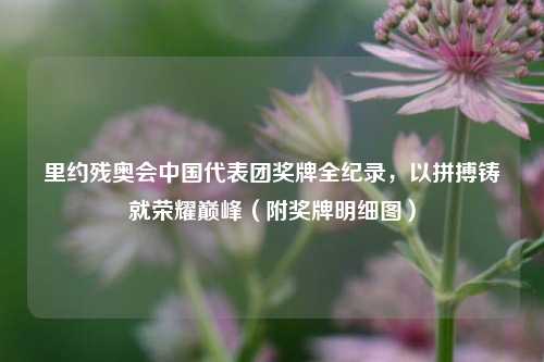 里约残奥会中国代表团奖牌全纪录，以拼搏铸就荣耀巅峰（附奖牌明细图）