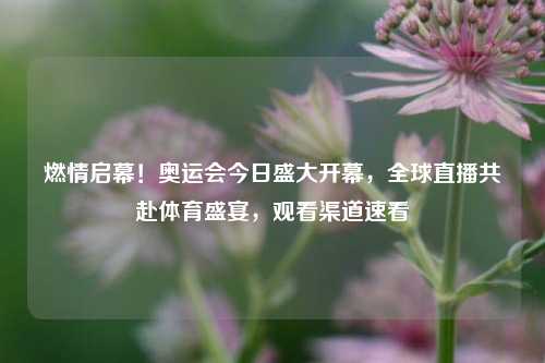 燃情启幕！奥运会今日盛大开幕，全球直播共赴体育盛宴，观看渠道速看