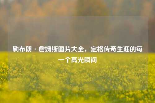 勒布朗·詹姆斯图片大全，定格传奇生涯的每一个高光瞬间