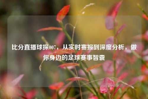比分直播球探007，从实时赛报到深度分析，做你身边的足球赛事智囊