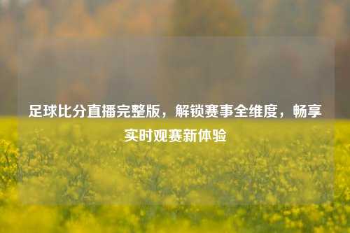 足球比分直播完整版,解锁赛事全维度,畅享实时观赛新体验
