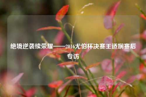 绝境逆袭续荣耀——2016尤伯杯决赛王适娴赛后专访