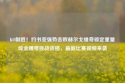 KO制胜！约书亚强势击败赫尔戈维奇锁定重量级金腰带挑战资格，最新比赛视频来袭