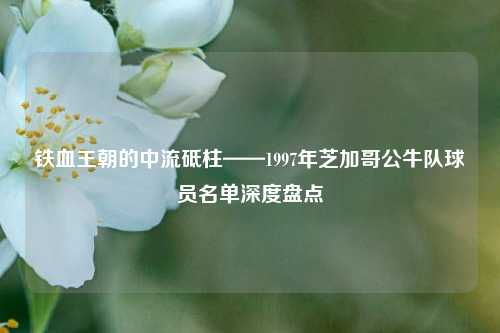 铁血王朝的中流砥柱——1997年芝加哥公牛队球员名单深度盘点