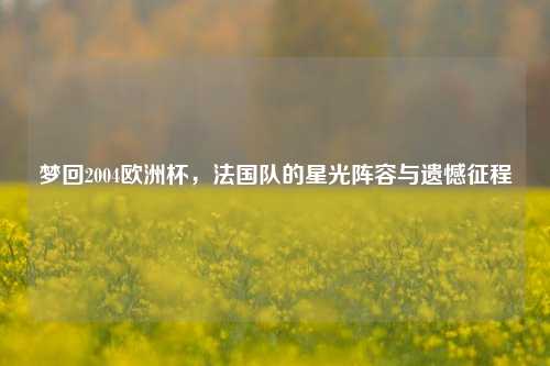 梦回2004欧洲杯,法国队的星光阵容与遗憾征程