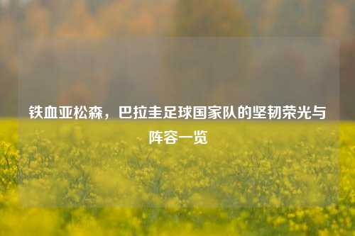 铁血亚松森，巴拉圭足球国家队的坚韧荣光与阵容一览