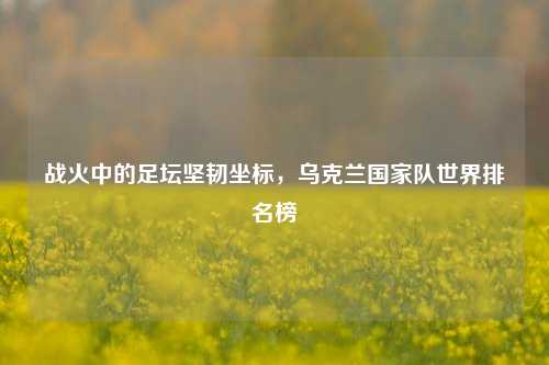 战火中的足坛坚韧坐标，乌克兰国家队世界排名榜