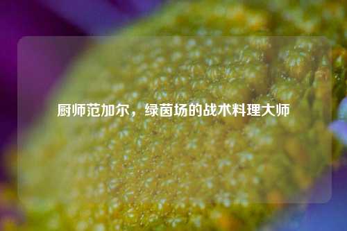 厨师范加尔，绿茵场的战术料理大师