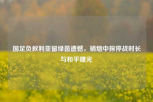国足负叙利亚留绿茵遗憾，硝烟中探停战时长与和平曙光