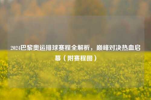 2024巴黎奥运排球赛程全解析,巅峰对决热血启幕(附赛程图)