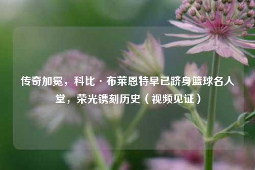 传奇加冕，科比·布莱恩特早已跻身篮球名人堂，荣光镌刻历史（视频见证）