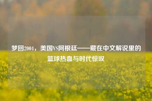 梦回2004，美国VS阿根廷——藏在中文解说里的篮球热血与时代惊叹