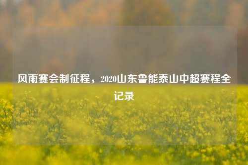 风雨赛会制征程，2020山东鲁能泰山中超赛程全记录