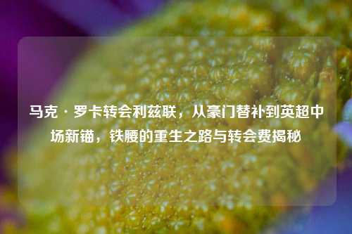 马克·罗卡转会利兹联，从豪门替补到英超中场新锚，铁腰的重生之路与转会费揭秘