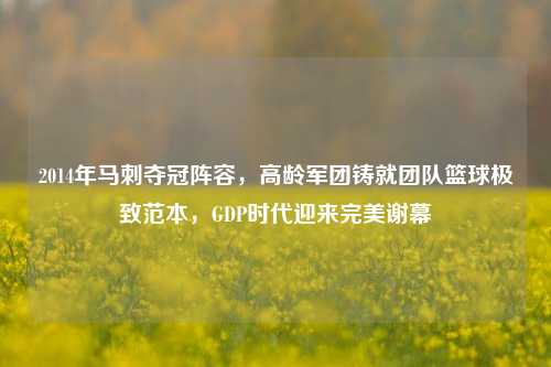 2014年马刺夺冠阵容，高龄军团铸就团队篮球极致范本，GDP时代迎来完美谢幕