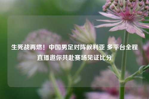 生死战再燃！中国男足对阵叙利亚 多平台全程直播邀你共赴赛场见证比分