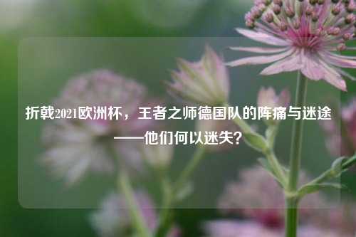 折戟2021欧洲杯，王者之师德国队的阵痛与迷途——他们何以迷失？
