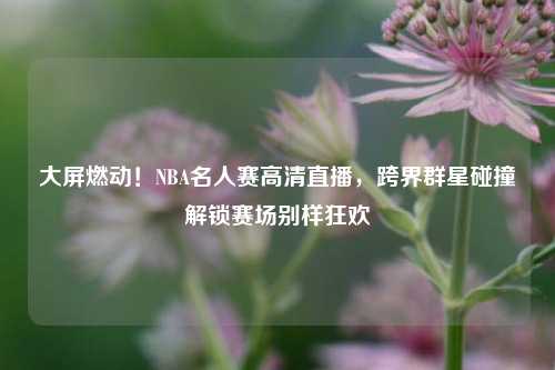 大屏燃动！NBA名人赛高清直播，跨界群星碰撞解锁赛场别样狂欢