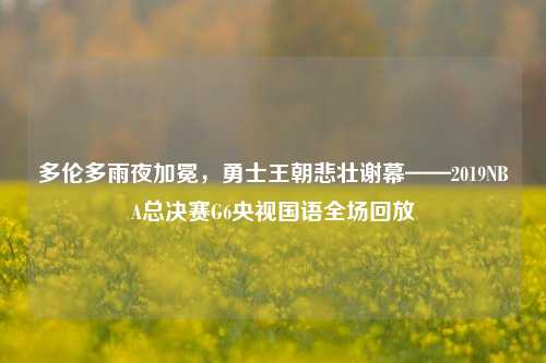 多伦多雨夜加冕，勇士王朝悲壮谢幕——2019NBA总决赛G6央视国语全场回放