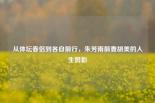 从体坛眷侣到各自前行，朱芳雨前妻胡美的人生剪影