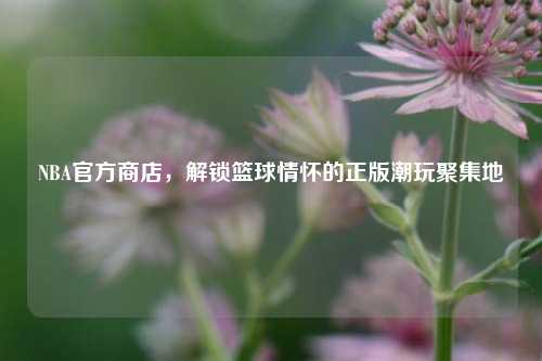 NBA官方商店，解锁篮球情怀的正版潮玩聚集地