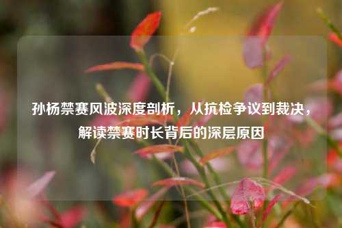孙杨禁赛风波深度剖析，从抗检争议到裁决，解读禁赛时长背后的深层原因