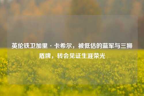 英伦铁卫加里·卡希尔，被低估的蓝军与三狮盾牌，转会见证生涯荣光