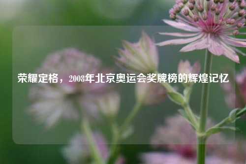 荣耀定格，2008年北京奥运会奖牌榜的辉煌记忆