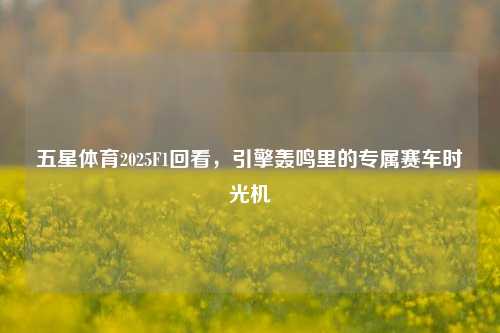 五星体育2025F1回看，引擎轰鸣里的专属赛车时光机