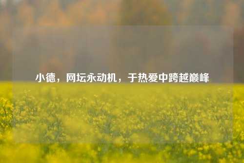 小德，网坛永动机，于热爱中跨越巅峰