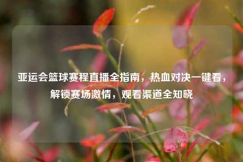 亚运会篮球赛程直播全指南,热血对决一键看,解锁赛场激情,观看渠道全知晓