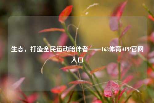 生态，打造全民运动陪伴者——163体育APP官网入口