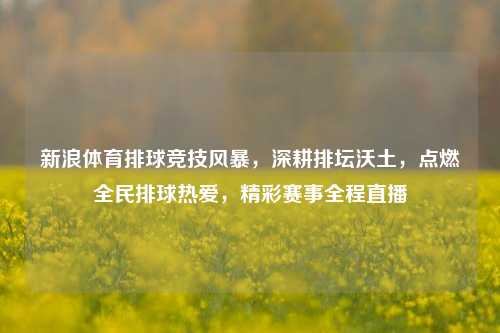 新浪体育排球竞技风暴,深耕排坛沃土,点燃全民排球热爱,精彩赛事全程直播