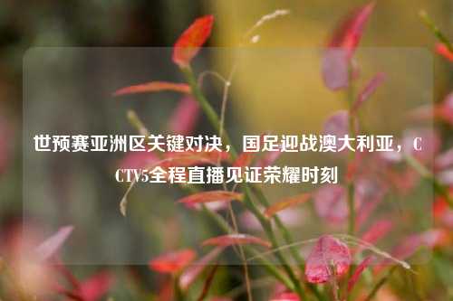 世预赛亚洲区关键对决，国足迎战澳大利亚，CCTV5全程直播见证荣耀时刻