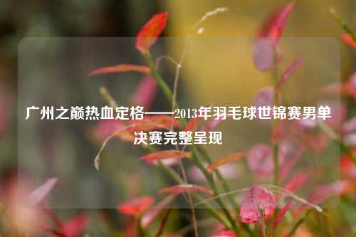 广州之巅热血定格——2013年羽毛球世锦赛男单决赛完整呈现