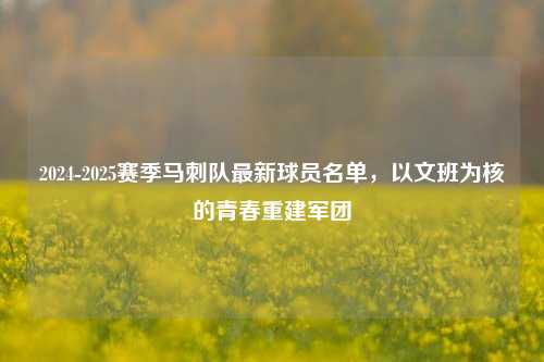 2024-2025赛季马刺队最新球员名单，以文班为核的青春重建军团