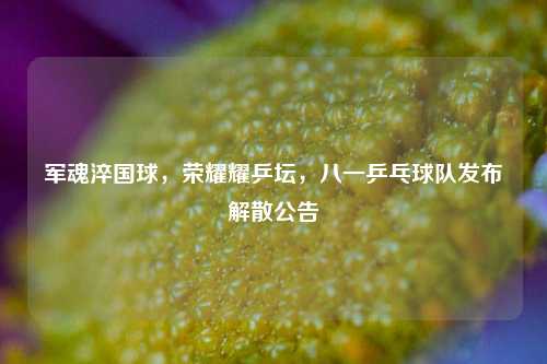 军魂淬国球，荣耀耀乒坛，八一乒乓球队发布解散公告