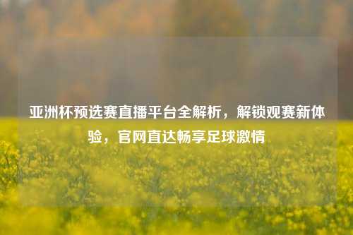 亚洲杯预选赛直播平台全解析，解锁观赛新体验，官网直达畅享足球激情