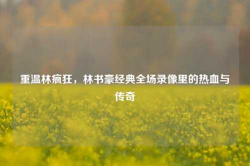 重温林疯狂，林书豪经典全场录像里的热血与传奇