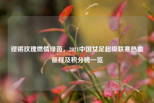 铿锵玫瑰燃情绿茵，2021中国女足超级联赛热血征程及积分榜一览