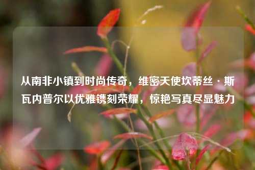 从南非小镇到时尚传奇，维密天使坎蒂丝·斯瓦内普尔以优雅镌刻荣耀，惊艳写真尽显魅力